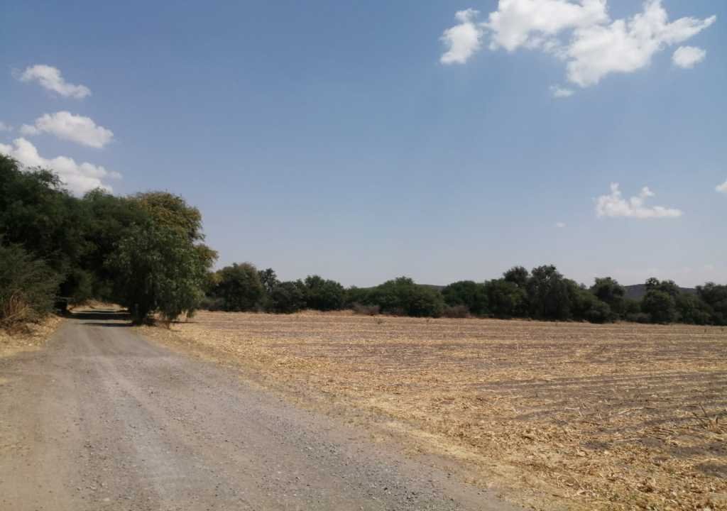 Terreno amplio con arboles 